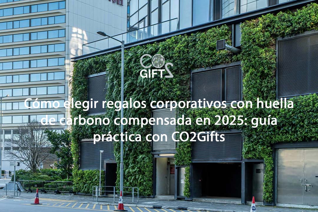 Cómo elegir regalos corporativos con huella de carbono compensada en 2025: guía práctica con CO2Gifts