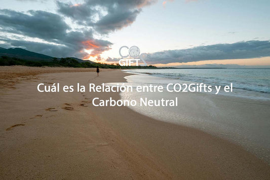 Cuál es la Relación entre CO2Gifts y el Carbono Neutral