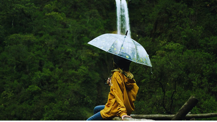 Paraguas personalizados con huella de carbono calculada para empresas